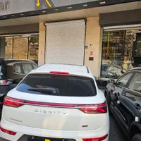 دیگنیتی پرایم، مدل ۱۴۰۲|خودرو سواری و وانت|تهران, زعفرانیه|دیوار