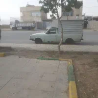پیکان وانت|خودرو سواری و وانت|مسجد سلیمان, |دیوار