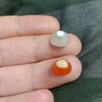 نگین سه پوست و باباقوری منظم اوپال و شجر و ...