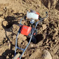 چاله فنس و چاله درخت|خدمات باغبانی و درختکاری|بروجرد, |دیوار