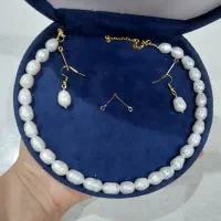 مروارید اصل هدیه.مادر دریایی و طبیعی