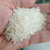 برنج هاشمی درجه ۱|خوردنی و آشامیدنی|رشت, رشتیان|دیوار