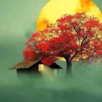 مشاوره میخوام در باره کسب کار