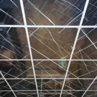 نصاب سقف و دیوار کاذب|خدمات پیشه و مهارت|خاوران, |دیوار