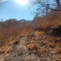 وشنوه (700متر زمین فندق در هده رود)قابل معاوضه|فروش زمین و ملک کلنگی|قم, سالاریه|دیوار