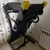 تردمیل پروفشنال
