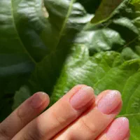 کاشت ژل ژلیش لمینیت کاور|خدمات آرایشگری و زیبایی|نکا, |دیوار