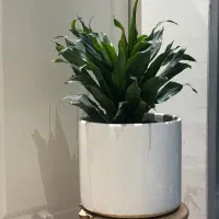 گلدان گل|گل مصنوعی|کرج, استاندارد|دیوار