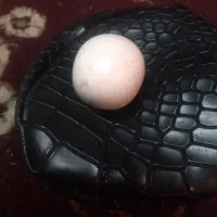 سنگ آسیاب و سنگ کوارتز|کلکسیون اشیاء عتیقه|رشت, سلیمانداراب|دیوار