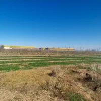 فروش ۱ هکتار در باغستان کهک تاکستان|فروش دفتر صنعتی، کشاورزی، تجاری|کرج, باغستان|دیوار