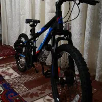 درحدنو تایوانی دیسکدار سایز 20 بونوتوبا سند رسمی