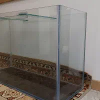 آکواریوم  ماهی|ماهی|مشهد, حسابی جنوبی (شهرک غرب)|دیوار