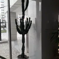 گلدان آفربیا اینجنس(کاکتوس)|گل و گیاه طبیعی|تهران, شهرک آتی شهر|دیوار