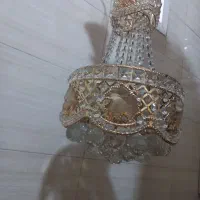 دوعدد لستر به فروش می‌رسد