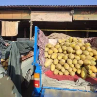 حساب داری میدان تره بار