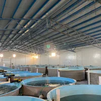 کارگر ساده (لطفا توضیحات خوانده شود)