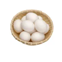 بازاریاب خانم و آقا.حضوری و تلفنی