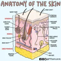 این یک اگهی هوشمند است