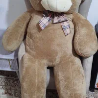 عروسک پولیشی خرس تدی