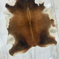 پوست طبیعی اصل