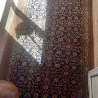 فرش دستبافت|فرش|سنندج, |دیوار