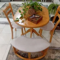 میز غذا خوری نو