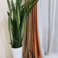 فروش لوازم خانه|سایر لوازم برقی|شیراز, غدیر جنوبی|دیوار