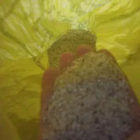 آکواریوم شرکتی ماهیران اول آگهی بخونید|ماهی|آبادان, |دیوار