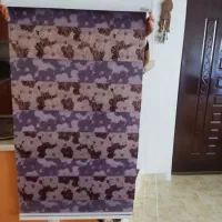 پرده زبرا