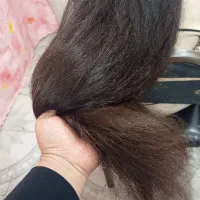 خریدارمو‌طبیعی در کل استان