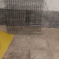 پارک سگ