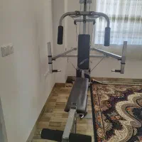 دستگاه چهل کاره راین|تجهیزات ورزشی|آباده, |دیوار