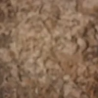 کود کفتر خشک