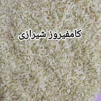 برنج کامفیروزی تازه فرد اعلا|خوردنی و آشامیدنی|شیراز, فرگاز|دیوار