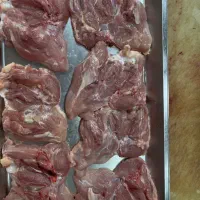 شنسل ران سینه بوقلمون مرغ کتف بال سینه|خوردنی و آشامیدنی|محمدشهر, همایون ویلا|دیوار