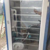 دستگاه جوجه کشی ۱۸۵۴تایی بردسالم|حیوانات مزرعه|لاهیجان, لفمجان|دیوار