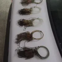 پاگیر بلدرچین کوهی