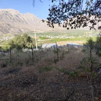 سیسخت فروش زمین باغ|فروش زمین و ملک کلنگی|سیسخت, |دیوار