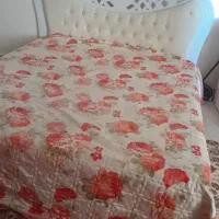 تخت