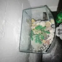 پمپ و اکواریوم