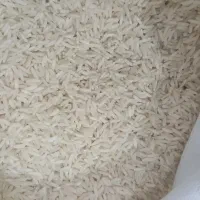 هاشمی بینام کشت دوم