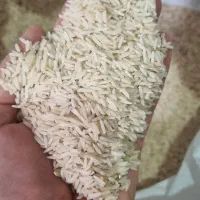 برنج اصل هاشمی