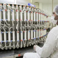 جذب نیرو در تولید و بسته داروسازیی|استخدام صنعتی، فنی، مهندسی|قوچان, |دیوار