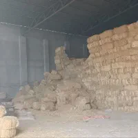 کاه کوبیده|لوازم جانبی حیوانات|قم, قلعه کامکار|دیوار