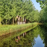 زندگی در کنار طبیعت  زیبا و ارام|فروش خانه و ویلا|قمصر, |دیوار