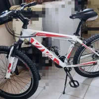 دوچرخه ویوا حرفه ای