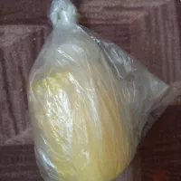 روغن حیوانی