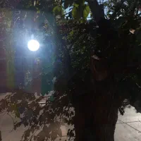 فروش مغازه ۸۰ متری