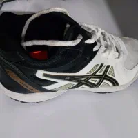 کفش والیبال|کیف، کفش، کمربند|خرم‌آباد (تنکابن), |دیوار