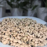 لوبیا چش بلبلی محلی